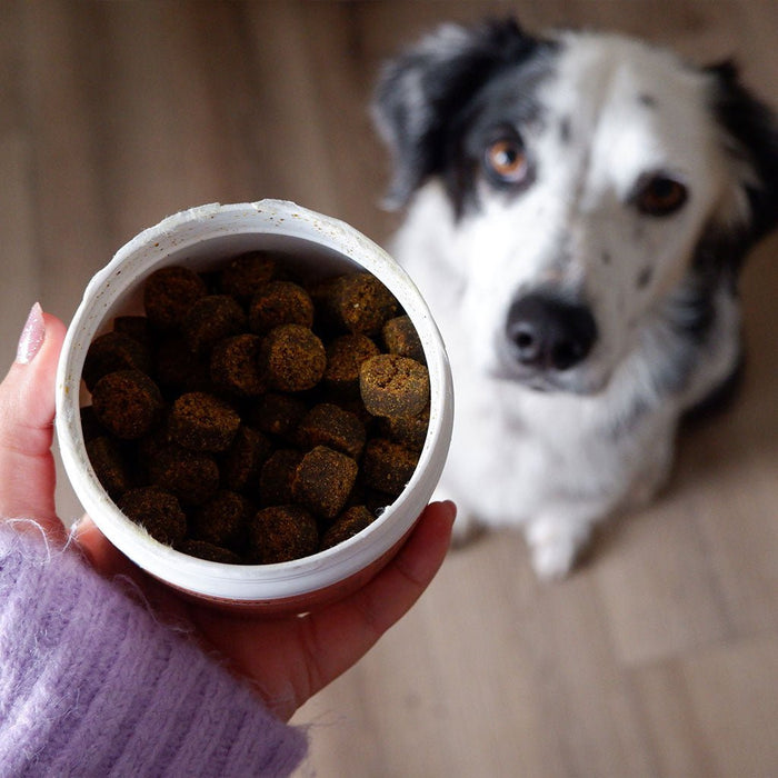 Plant - Based Skin & Coat Soft Chews for Dogs, 90 ct - 7VXT - 7