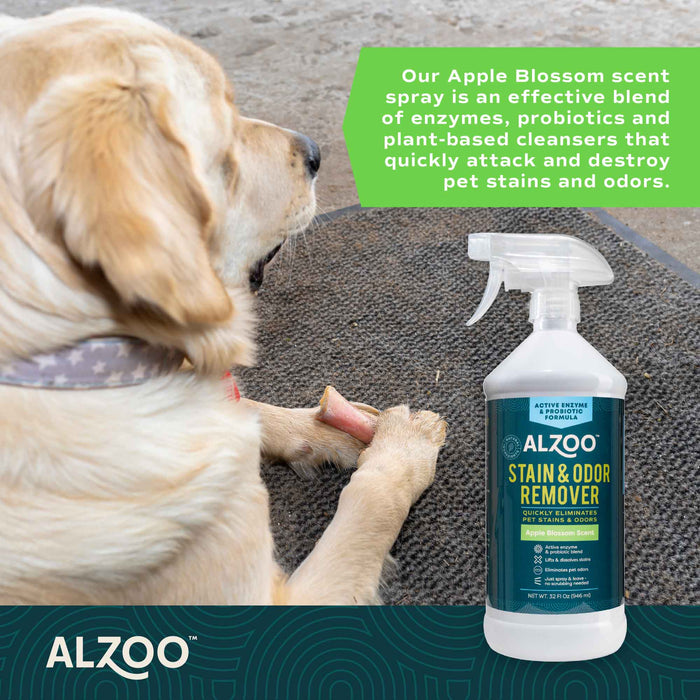 Plant - Based Stain & Odor Remover with Active Enzymes & Probiotic Scented Spray - 7VX4 - Apple Blossom - 32 oz - 15