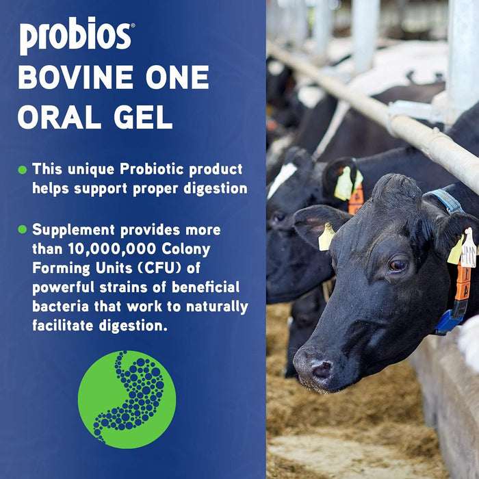 Probios Bovine One Gel