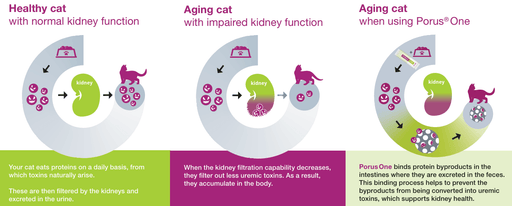 Porus One for Kidney Support in Cats, 500mg, 30 ct - 015DEC-17033 - 30ct - 2
