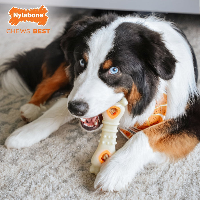 Power Chew Knuckle Bone & Pop - In Treat Toy Combo, Chicken, Large/Giant, Up to 50 lbs. - N9116 - Chicken - Large/Giant - 8