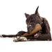 Powerbone Bottle Dog Chew Toy for Power Chewers, 6.5'' - 022TPB-1346 - Meaty - 5