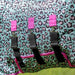 Pre - Sale Jeffers Expression Softmesh Combo Neck Horse Fly Sheet - JEFZY2 - Pre - Sale Party Cheetah - 66" - 20
