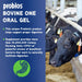 Probios Bovine One Gel - PNP1 - 60 g - Single Pack - 4