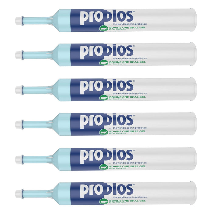 Probios Bovine One Gel - PNP1 - 60 g - Single Pack - 13