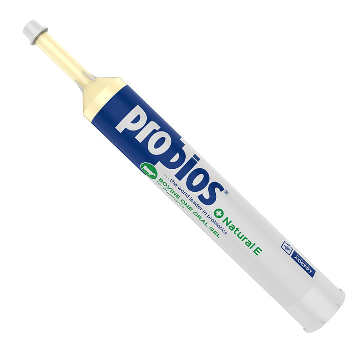 Probios Bovine One Plus Natural E - PNPC - 300 g - Single Pack - 4
