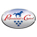 Professional's Choice Deluxe Breathable Mesh Horse Fly Boots, 4 pack - PL14KZ - Pink - Medium - 10