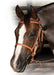 Professional's Choice Trail Bridle - Jeffers - Horse Supplies > Horse Tack > Bridles & Headstalls