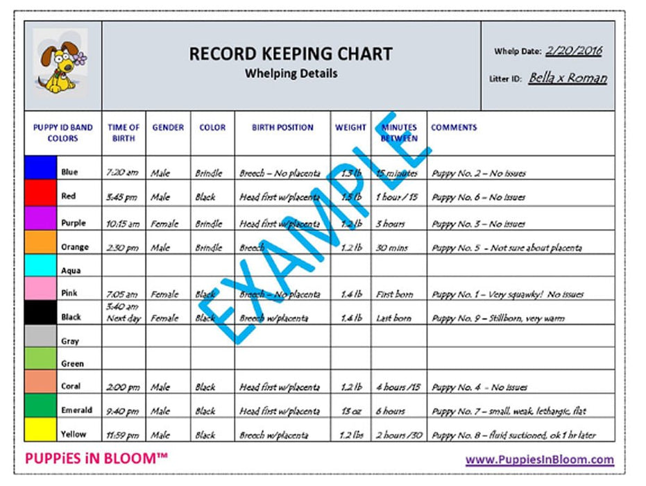 Puppies in Bloom Breeder Record Keeping Charts - PNB11 - 2