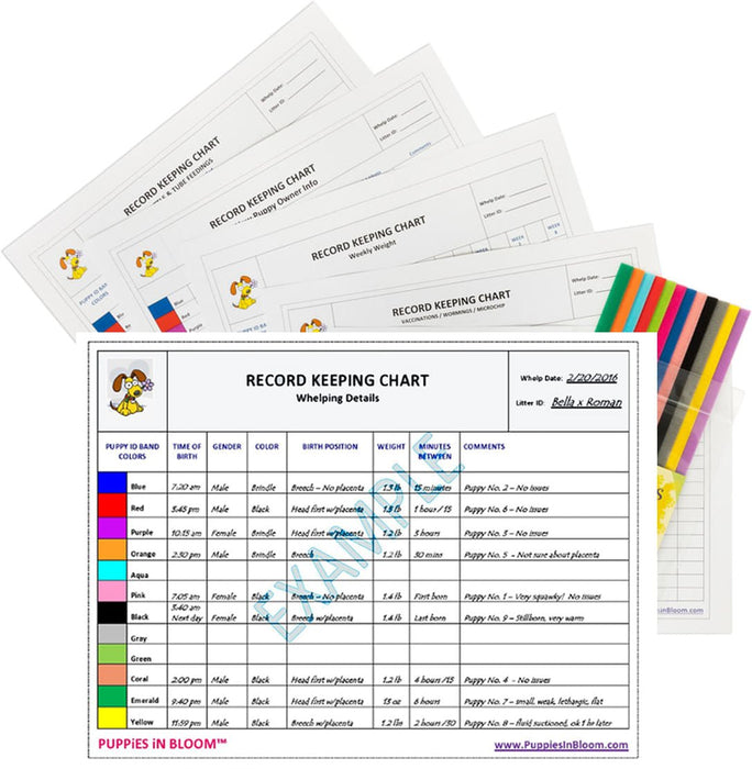 Puppies in Bloom Breeder Record Keeping Charts - PNB11 - 1
