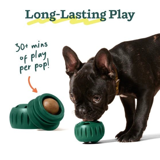 Pupsicle Pops Dog Treat Refills – Natural, Long - Lasting, Made in USA - WO2P - PB & Chicken - Small (6 oz) - 4