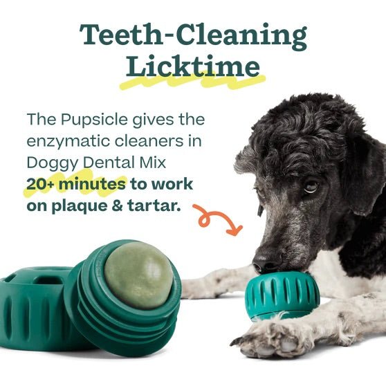 Pupsicle Pops Flavored Treat Mix - WO2BH - Dental Mix - Kelp & Coconut - 5.5 oz - 5
