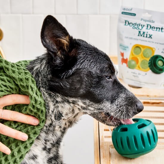 Pupsicle Pops Flavored Treat Mix - WO2BH - Dental Mix - Kelp & Coconut - 5.5 oz - 11