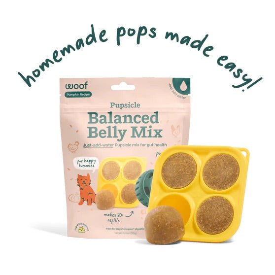 Pupsicle Pops Flavored Treat Mix - WO2BL - Balanced Belly Mix - Pumpkin - 5.5 oz - 26