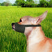 Quick - Fit Dog Muzzle by Four Paws - 39E1 - Size 0 - 3