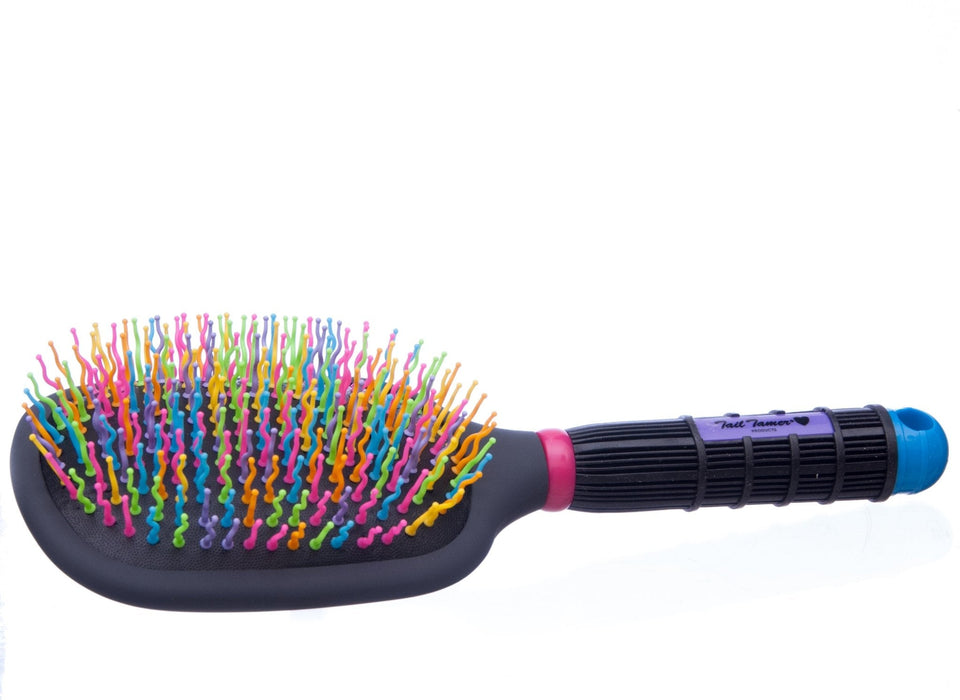 Rainbow Paddle Brush - TTPAM - 1