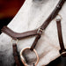 Rambo 2.0 Micklem Competition Leather Horse Bridle with Reins - FO502 - Dark Havana - Cob - 2