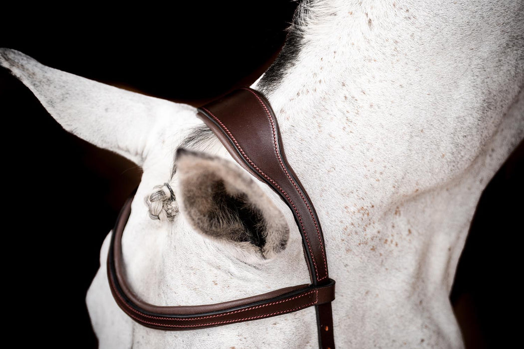 Rambo 2.0 Micklem Competition Leather Horse Bridle with Reins - FO502 - Dark Havana - Cob - 4