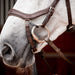 Rambo 2.0 Micklem Competition Leather Horse Bridle with Reins - FO502 - Dark Havana - Cob - 3