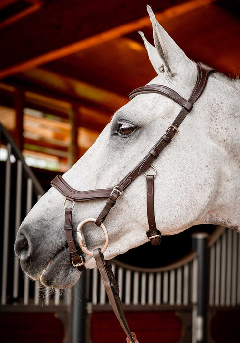 Rambo 2.0 Micklem Competition Leather Horse Bridle with Reins - FO502 - Dark Havana - Cob - 5