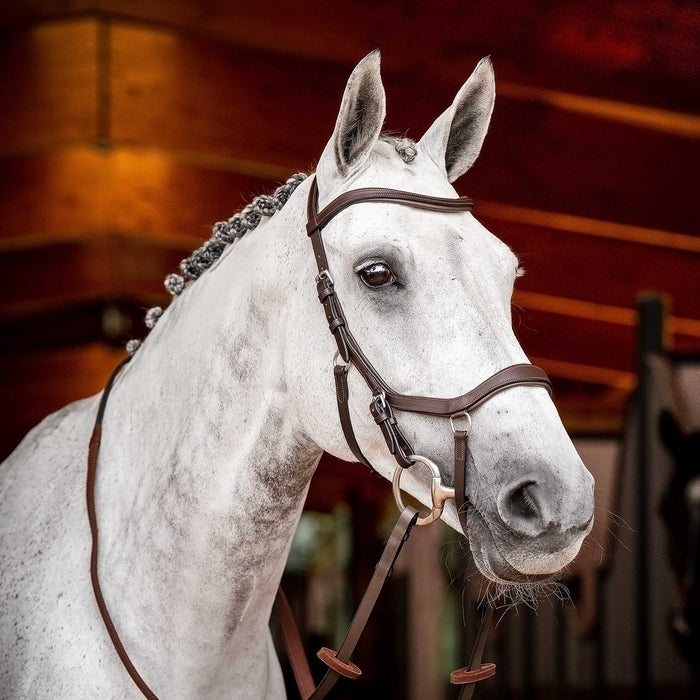 Rambo 2.0 Micklem Competition Leather Horse Bridle with Reins - FO502 - Dark Havana - Cob - 1