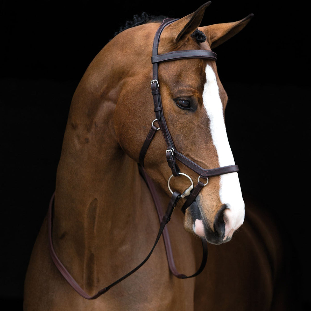 Horseware Rambo Micklem Competition Gummizügel - Dark Havana | HorSeven