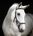 Rambo Micklem Deluxe Competition Bridle, Dark Havana - FO1DO - Full - 1