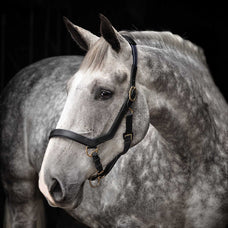 Rambo Micklem Leather Pony & Horse Halter – Anatomical Comfort Fit, Adjustable & Safe