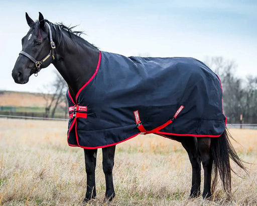 Rambo Original Medium Blanket, 1000D, 200 Grams - FO2LN - 69 in - Navy/Red - 1