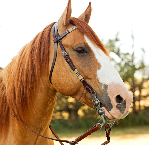 Rawhide Braided Browband Headstall - OXTDA - 2