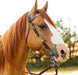 Rawhide Braided Browband Headstall - OXTDA - 2