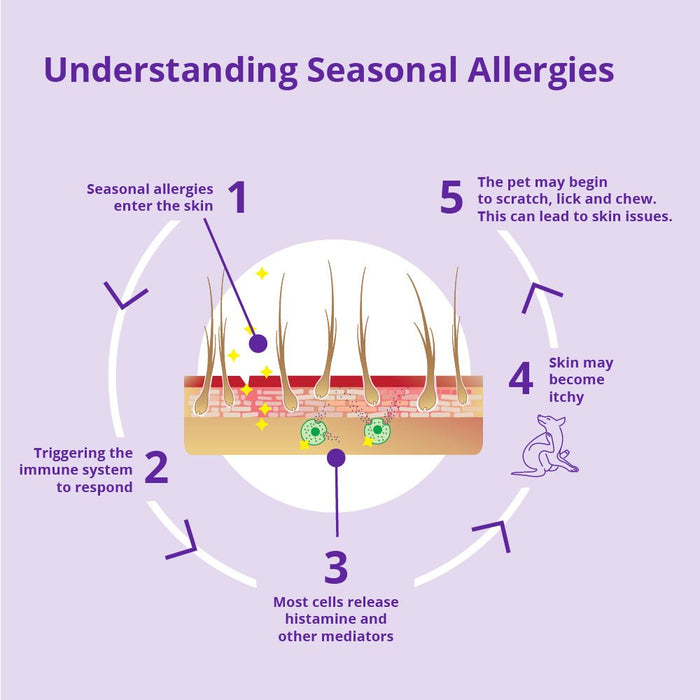 Redonyl Ultra Soft Chews for Dogs, 120 ct - 015DEC-88122 - 200mg - 7