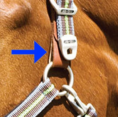 Replacement Tab for Breakaway Halter - QGRH - 3