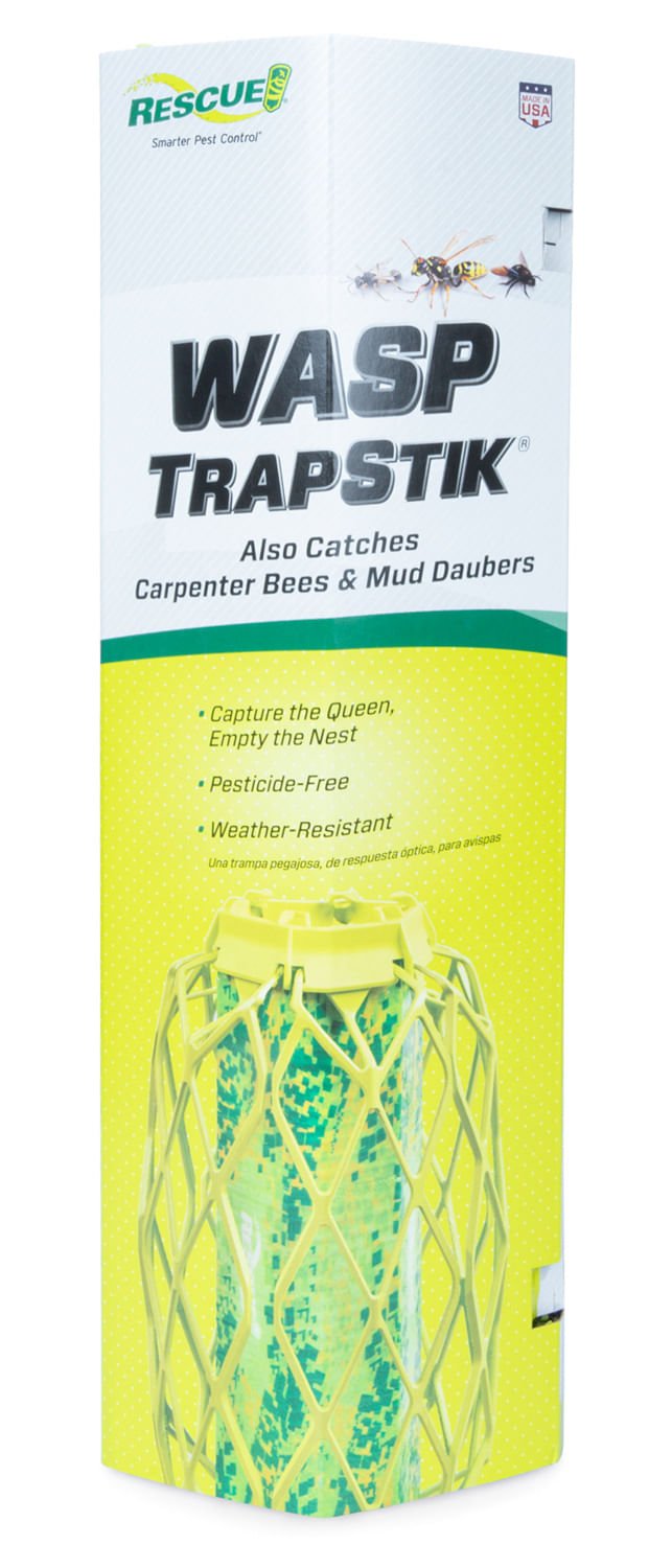 Rescue TrapStik for Carpenter Bees, Wasps & Mud Daubers — Pet Supplies ...