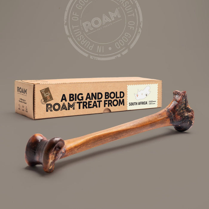 Roam Ostrich Bone Long Lasting Dog Treat