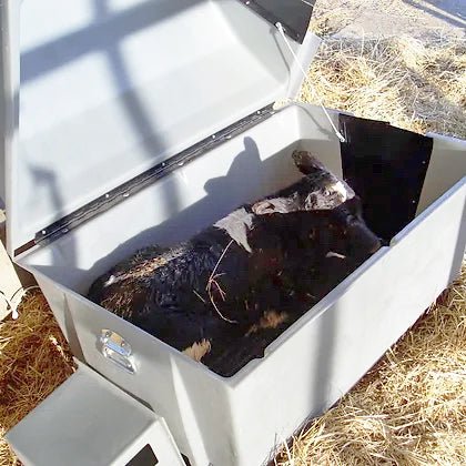 Roy - L - Heat Calf Warmer Box - SKAA - 6