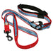 Kurgo Refl Quantum Hands Free Leash, OS Color: Red/Blue Color Red/Blue