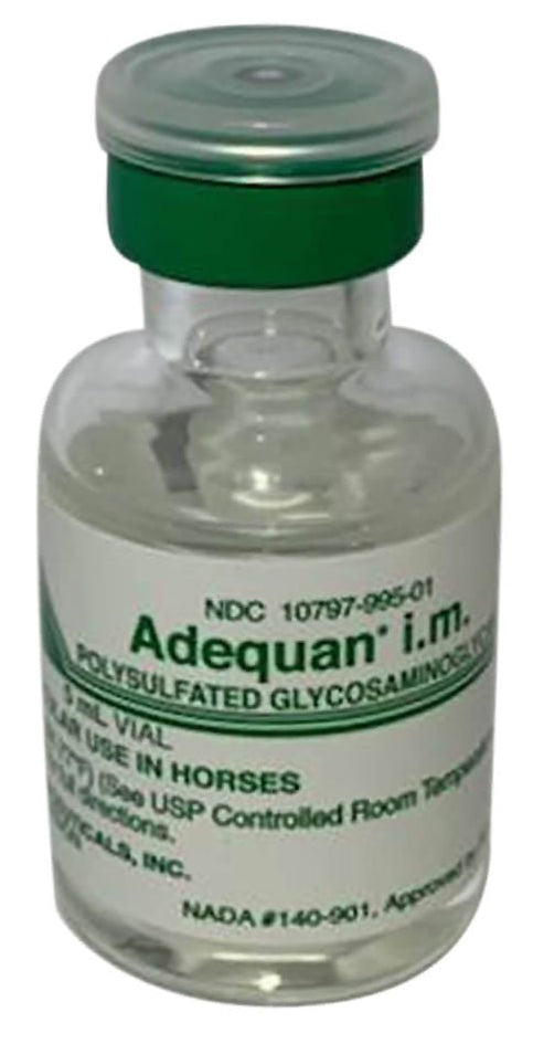 Rx Adequan for Horses, 500mg/5l — Pet Supplies 4 Less