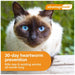 Rx Advantage Multi for Cats - Jeffers - Animal Health & Wellness > Flea & Tick Control