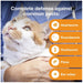 Rx Advantage Multi for Cats - Jeffers - Animal Health & Wellness > Flea & Tick Control