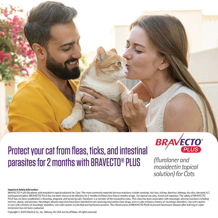 Rx BRAVECTO Plus Topical Cat - Jeffers - Animal Health & Wellness > Flea & Tick Control