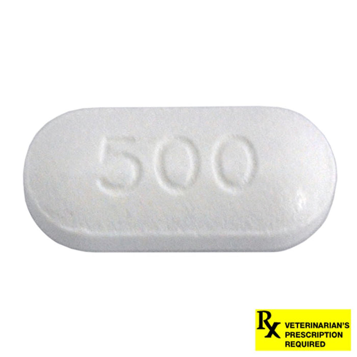 Generic Rx Tablet Rx Ciprofloxacin HCl Tablets for Dogs and Cats — Pet Supplies 4 Less