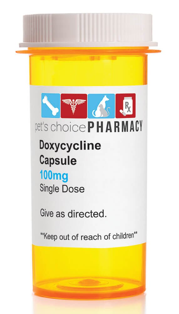 Rx Doxycycline Hyclate (Generic) Capsules - 012093-CAPSULE - 100 mg - 1 count - 1