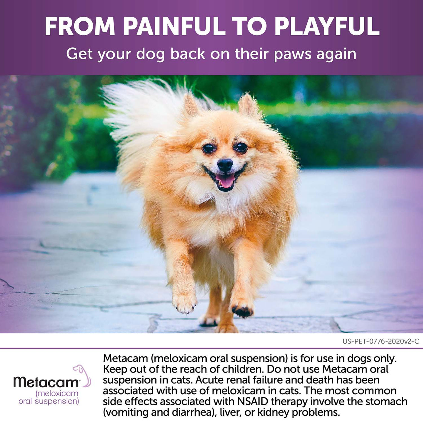 Rx Metacam Oral Suspension for Dogs — Pet Supplies 4 Less