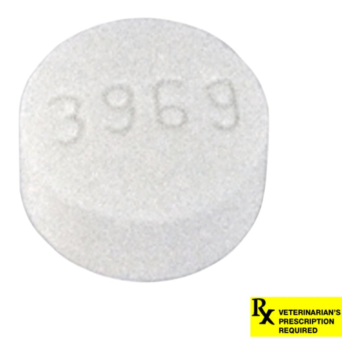 Generic Rx Tablet Rx Metronidazole Tablets, Antibiotic for Dogs and Cats — Pet Supplies 4 ...