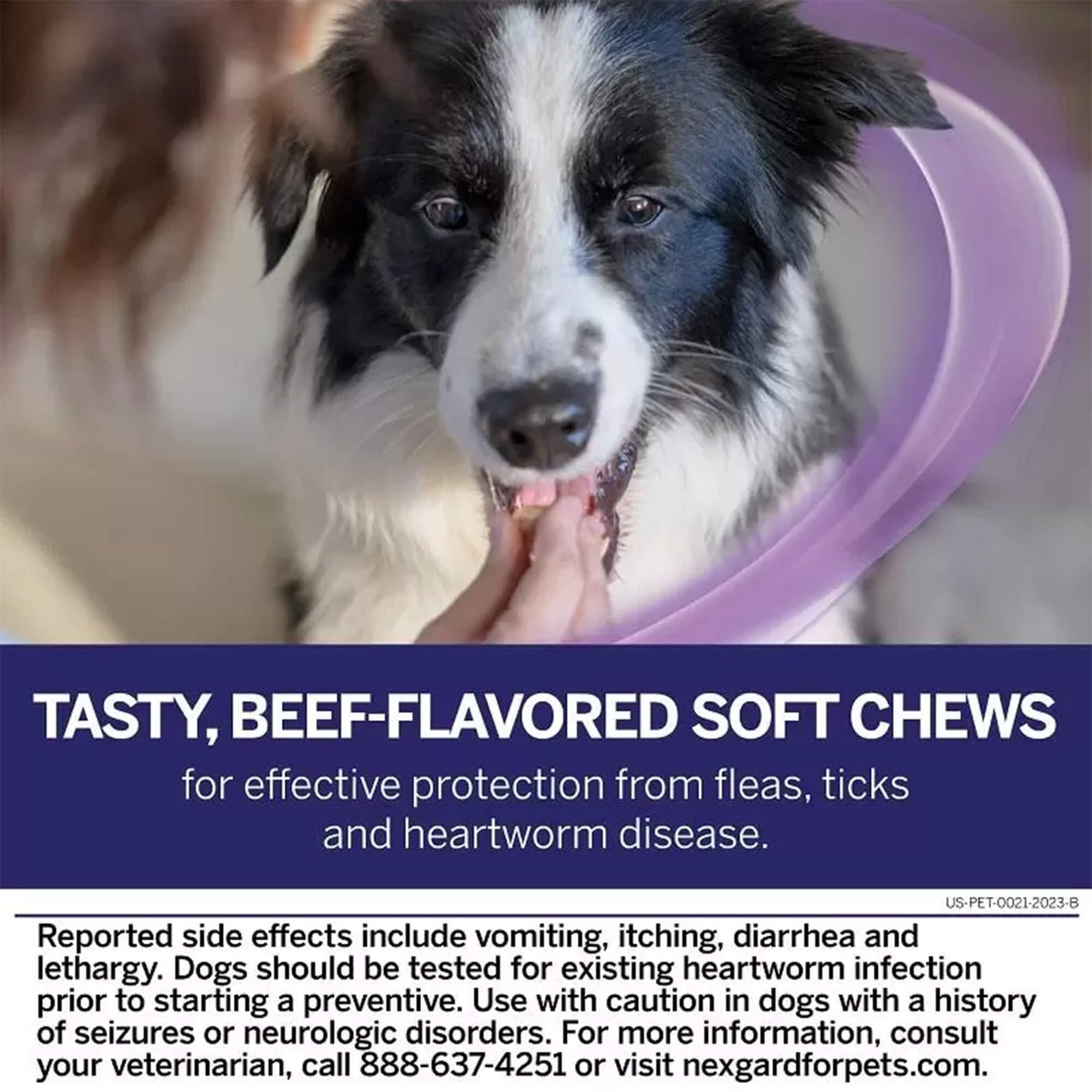 Nexgard Plus Flea and Tick Chewables for Dogs — Pet Supplies 4 Less