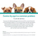 Rx Optimmune (cyclosporine) Opthalmic Ointment for Dogs, 3.5gm Tube - 012SCH09-3-5 - 4