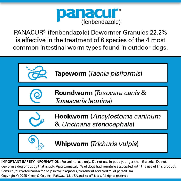 Rx Panacur for Dogs (fenbendazole Granules) 22.2%, 1 lb Economy Tub - 012022-G - 3