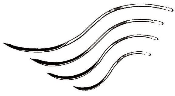 S Curved Needles - HLN1 - 2 3/4" - 2