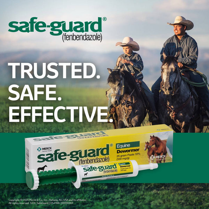 Safe - Guard 10% Fenbendazole Horse Dewormer Paste, 25g – Broad - Spectrum Parasite Wormer - I6S2 - 25 g (0.88 oz) - Single Pack - 7